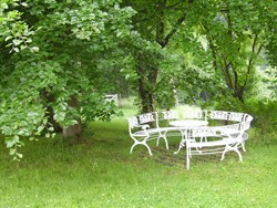 Eine weiße Bank steht in einem Garten.